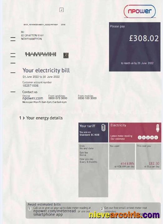 United Kingdom Npower electricity bill
